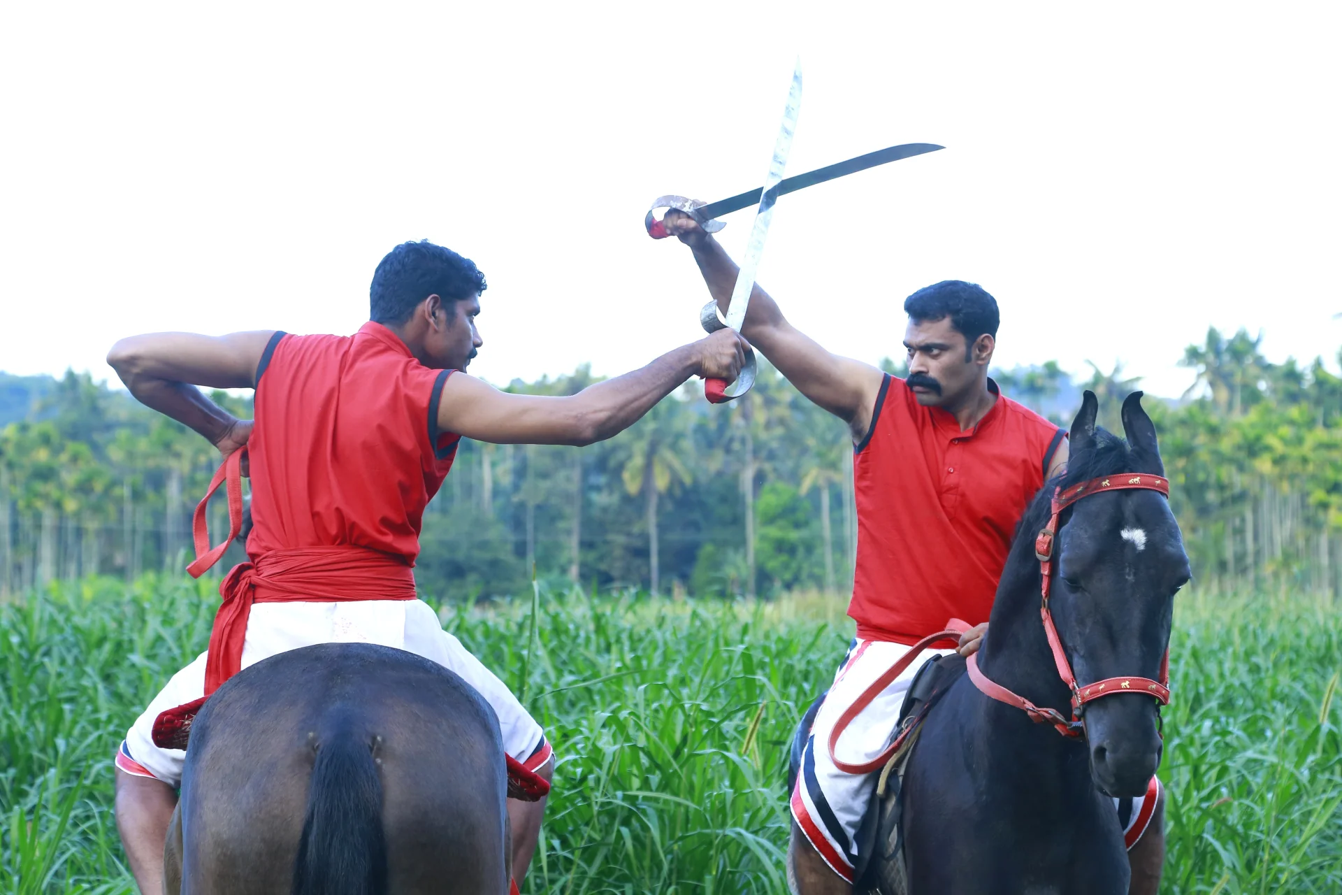 Kadathanadan Kalari Foundation
